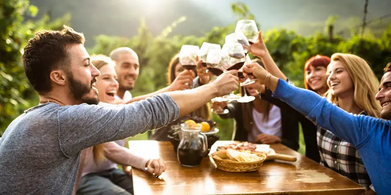 Friends celebrate outdoors, raising wine glasses for a toast around a sunny table with food, surrounded by greenery and smiles.