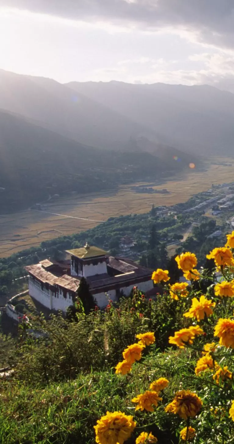 Dark clouds and yellow flowers in Paro Valley along the banks of the Paro Chhu River