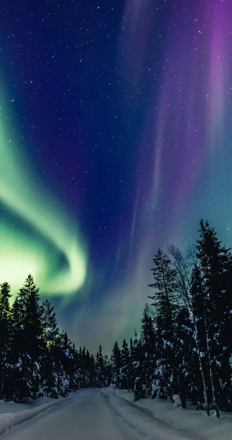 Colorful polar arctic Northern lights Aurora Borealis activity in snow winter forest in Finland, Lapland