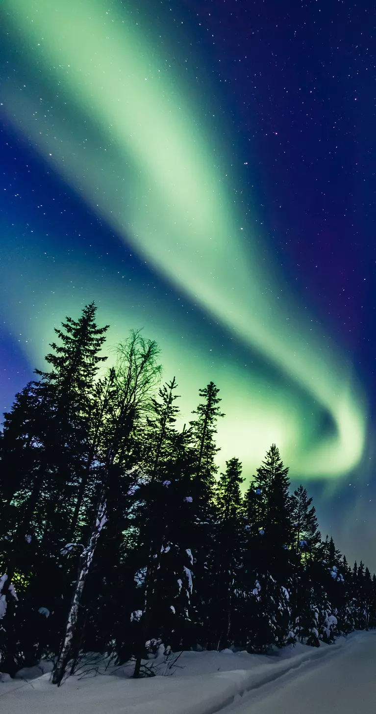 Colorful polar arctic Northern lights Aurora Borealis activity in snow winter forest in Finland, Lapland