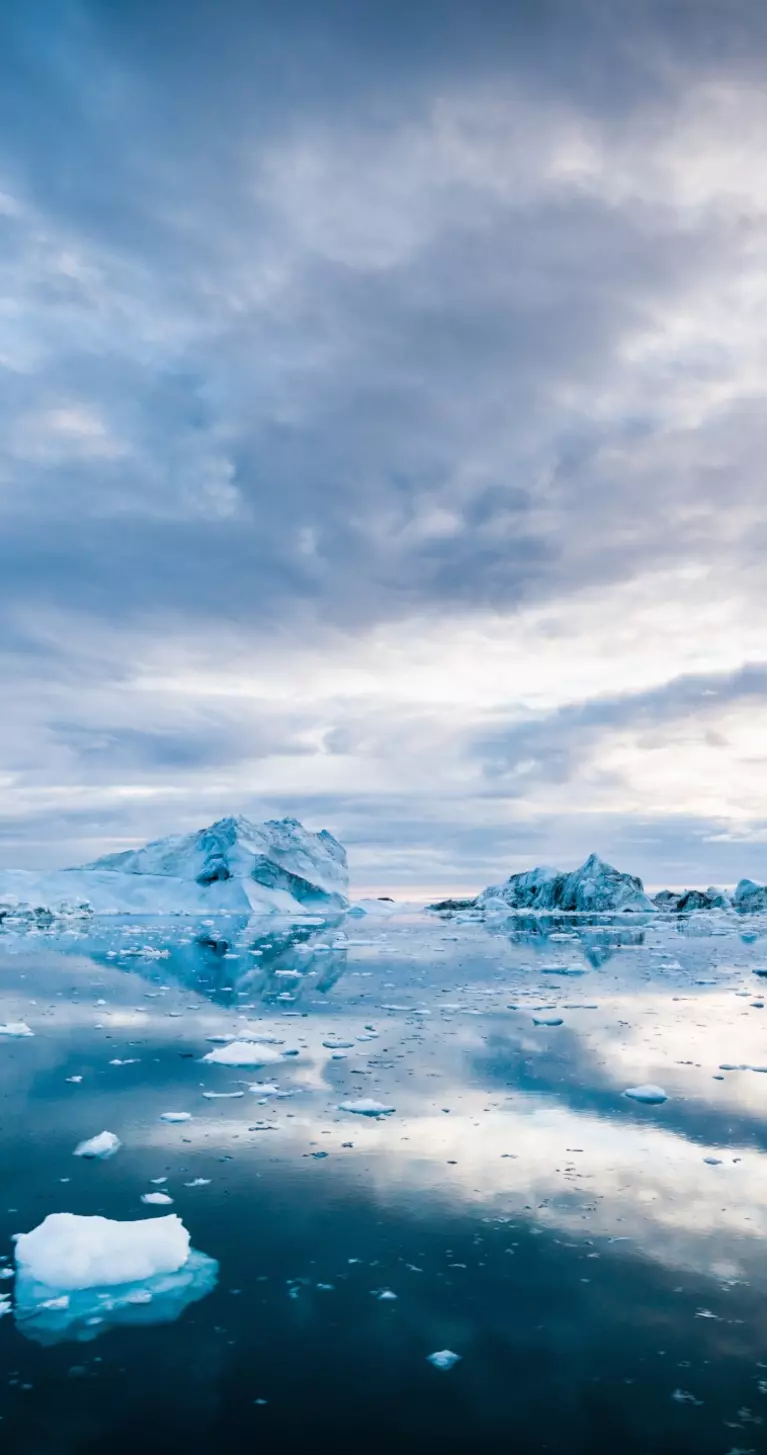 Arctic Icebergs Greenland Ilulissat Ice Fjord Morning Sunrise