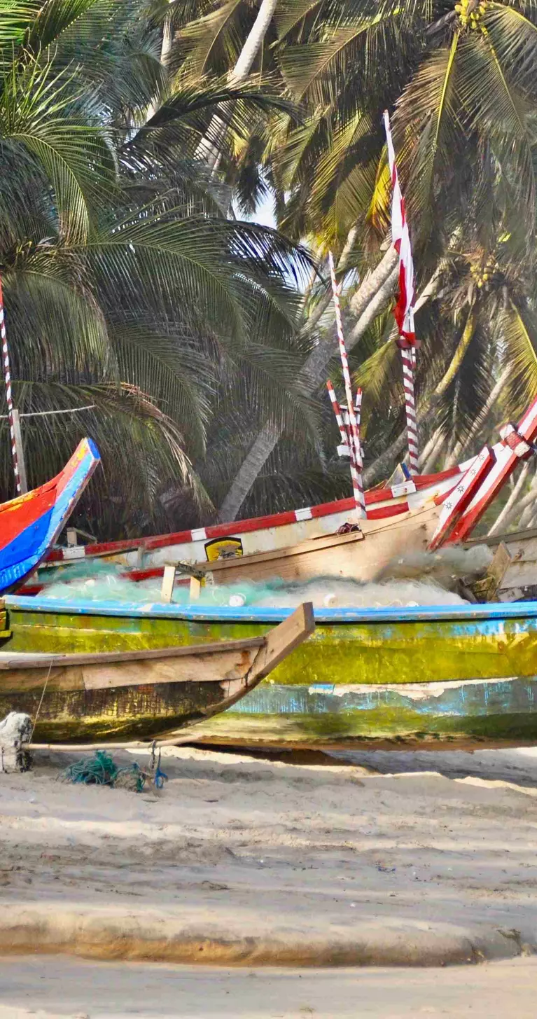 Traditional wooden fishing boats (pirogues) moored at the beach