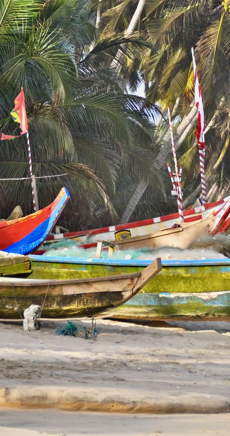 Traditional wooden fishing boats (pirogues) moored at the beach