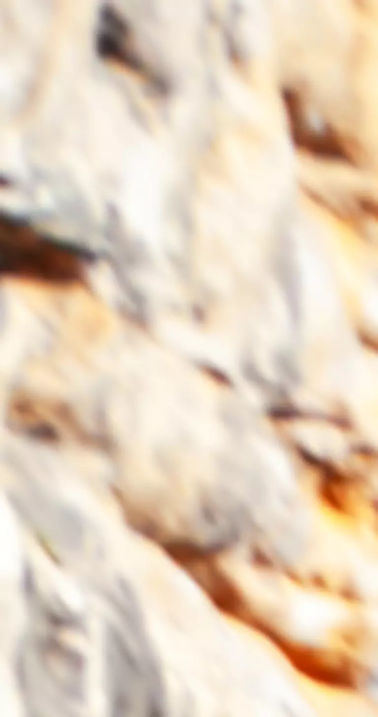 Vineyard in Luxembourg old town (Ville Basse) at autumn