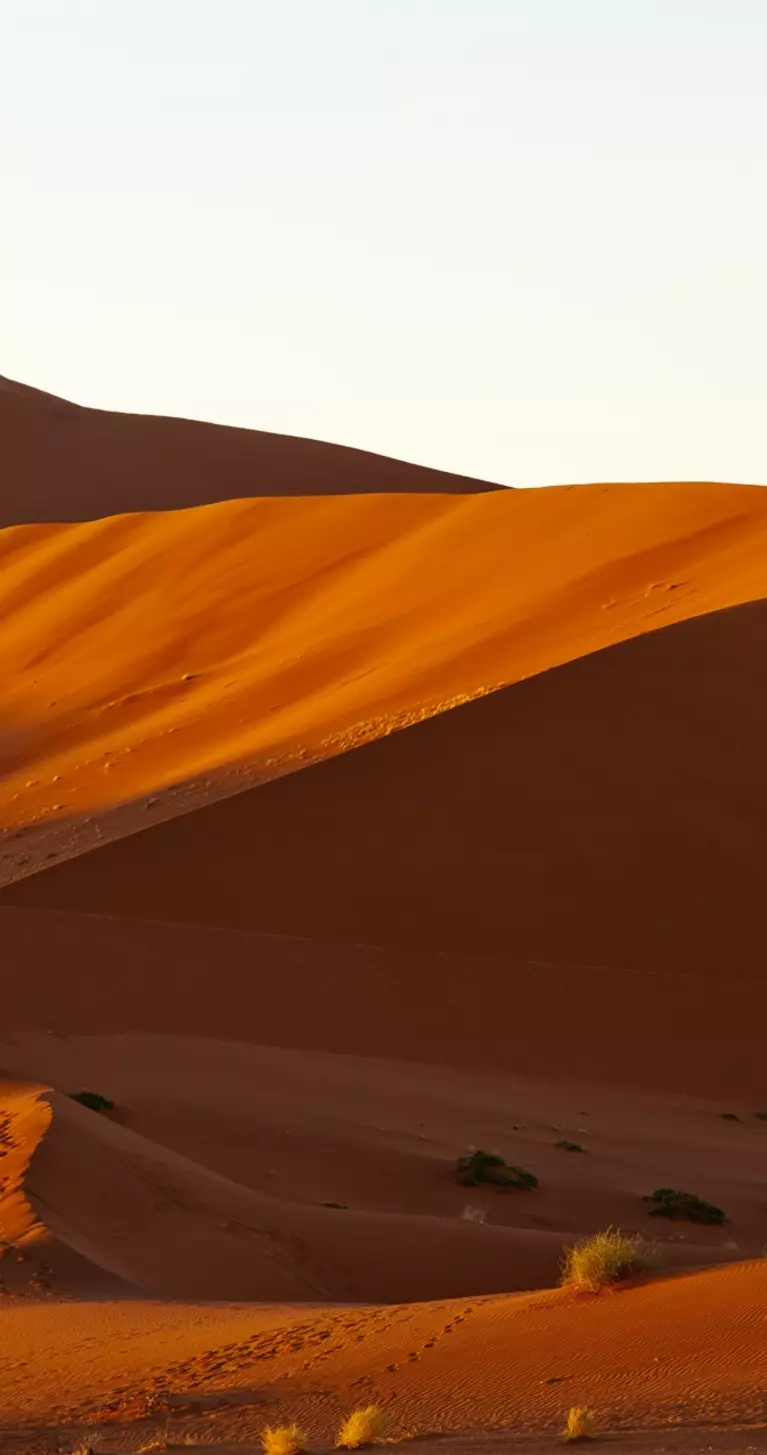 Big Daddy dune early in the morning