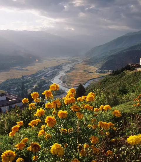 Dark clouds and yellow flowers in Paro Valley along the banks of the Paro Chhu River