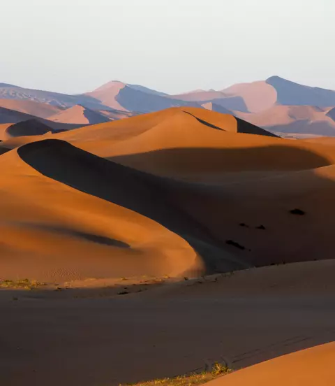 Gobi Desert