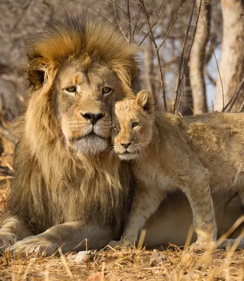 Kruger National Park