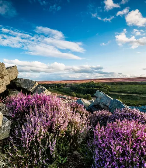 North Yorkshire Moors