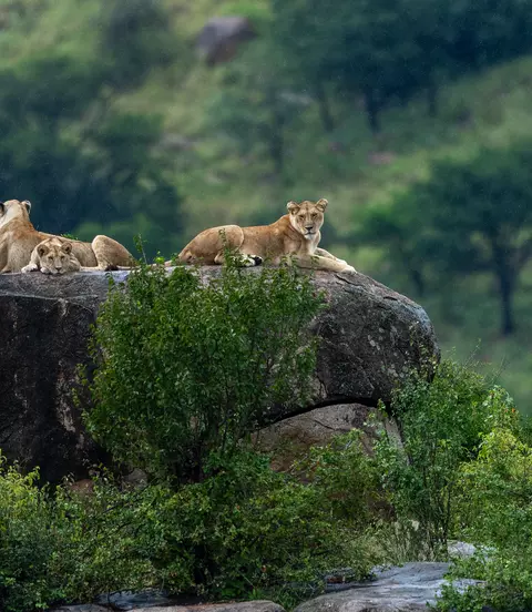 Serengeti National Park
