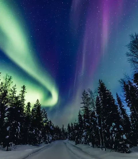Colorful polar arctic Northern lights Aurora Borealis activity in snow winter forest in Finland, Lapland