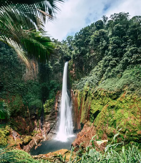 Explore Costa Rica's Rainforests