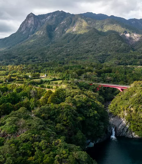 Yakushima Island