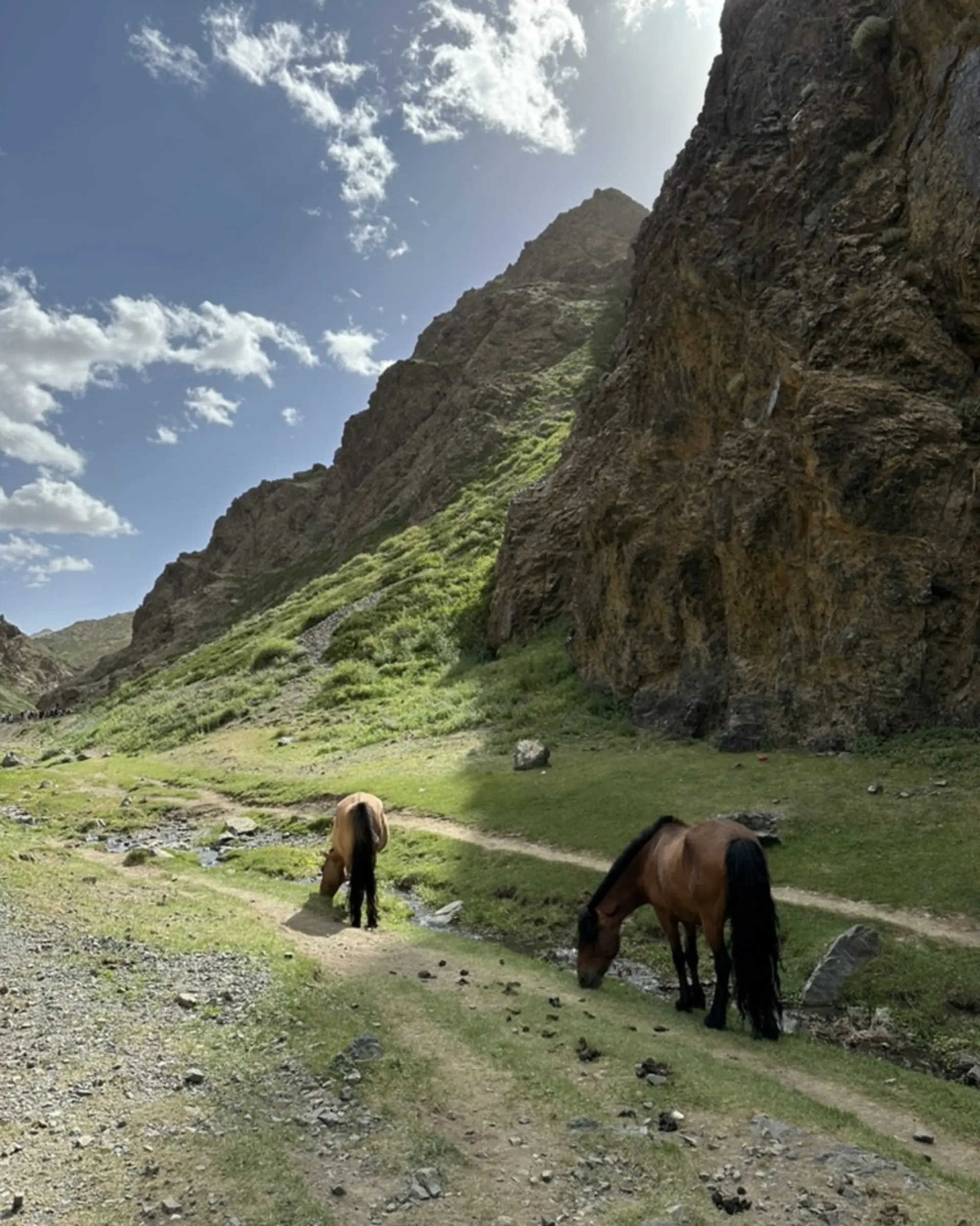 Horses at Yolyn Am Gorge.