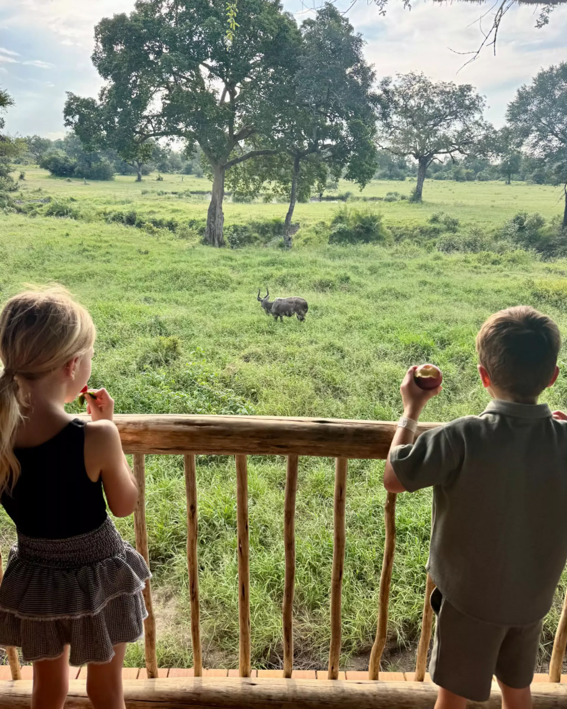 Two children on safari in South Africa looking at an antelope