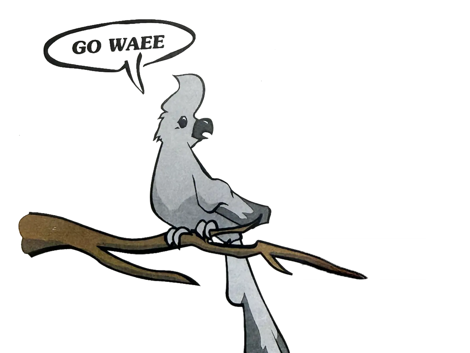 Illustration of the "Goway bird," based on the Grey Lourie, known for its distinct call.