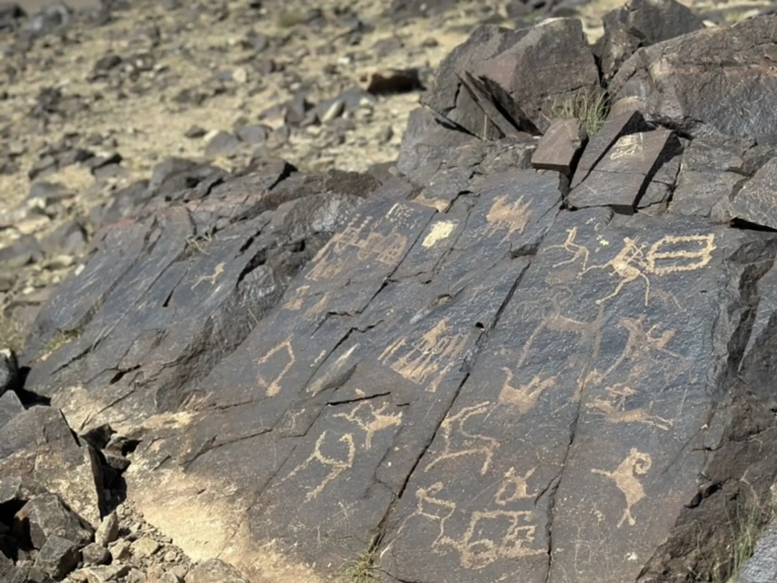 Khavtsgait Petroglyph
