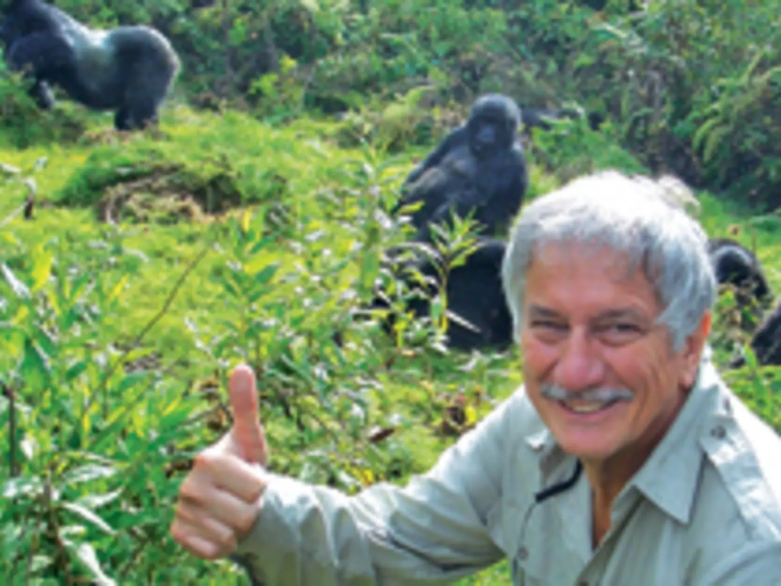 Bruce Hodge smiling in front of a troop of mountain gorillas.