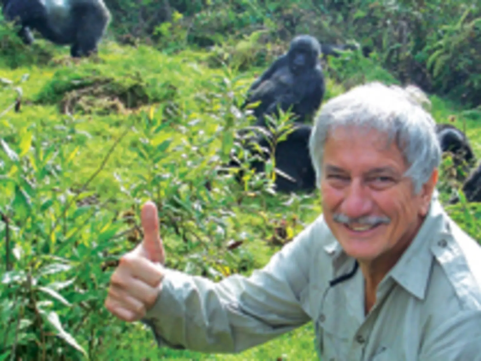 Bruce Hodge smiling in front of mountain gorillas.