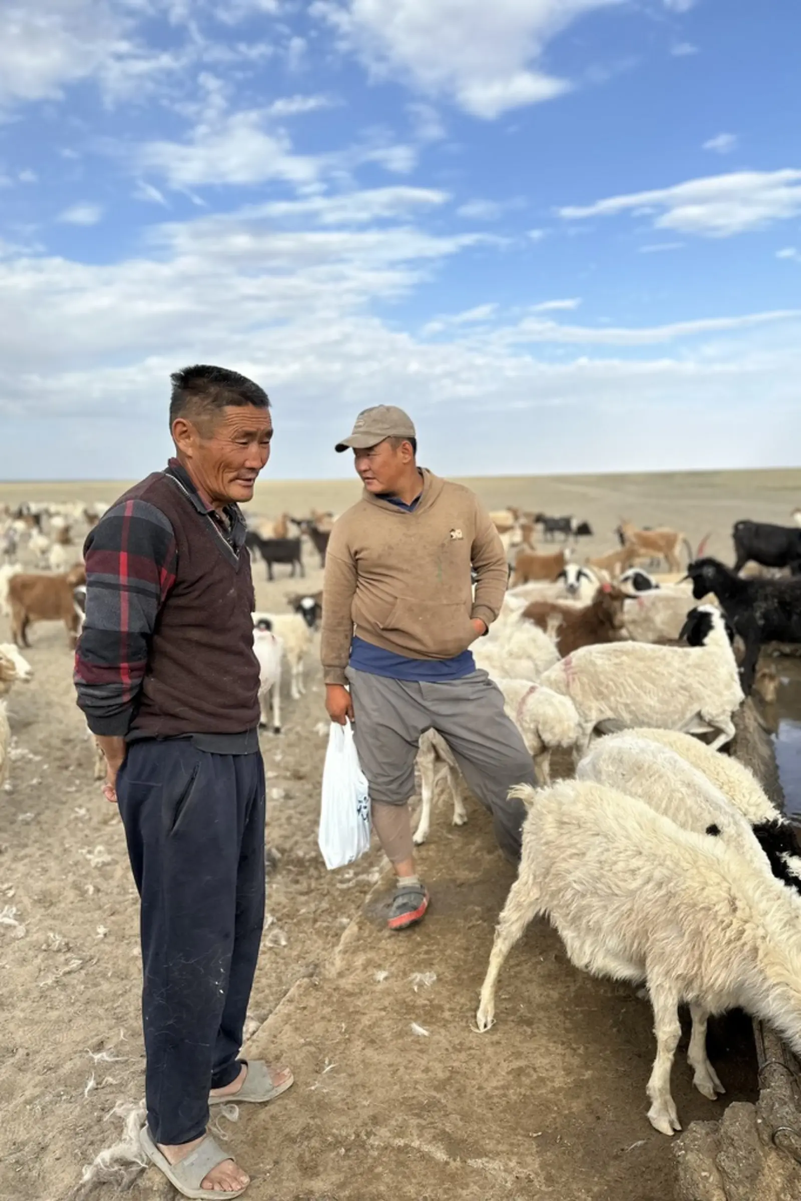 Mongolian nomadic herders