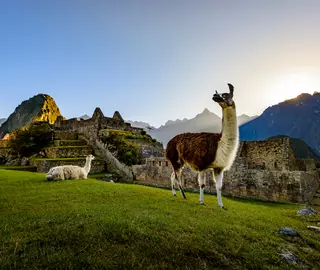 Machu Picchu