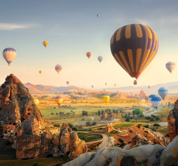 turkey
