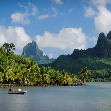 Landscape on green Moorea