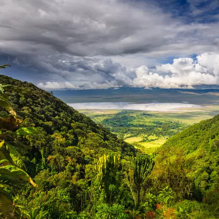 Landscape in The Ngorongoro Crater