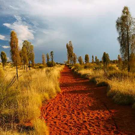 Walk in the red dusts of Uluru