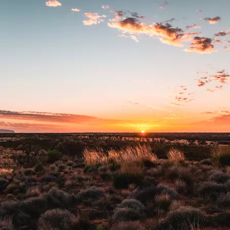 Enjoy the desert colours
