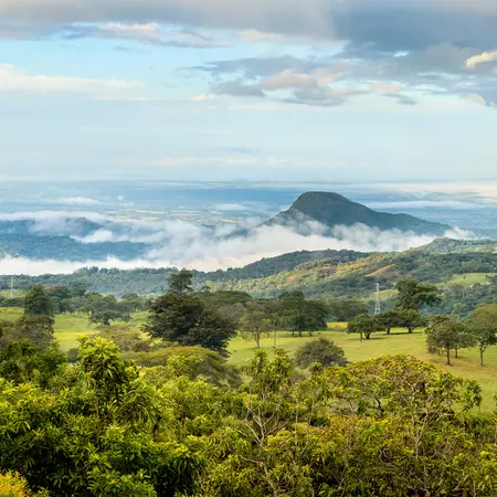 Guanacaste