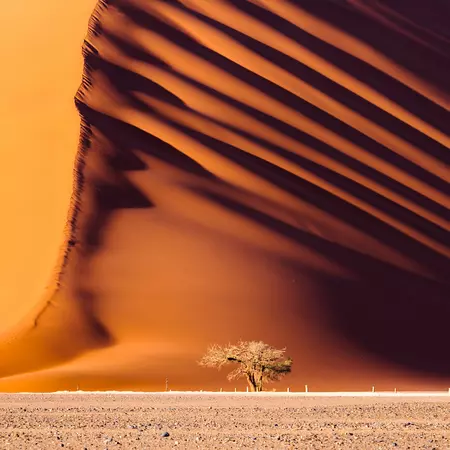 Dune 45, a massive red sand dune in the Namib Desert