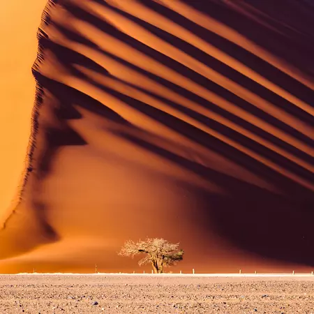 Dunes in the Namib Desert