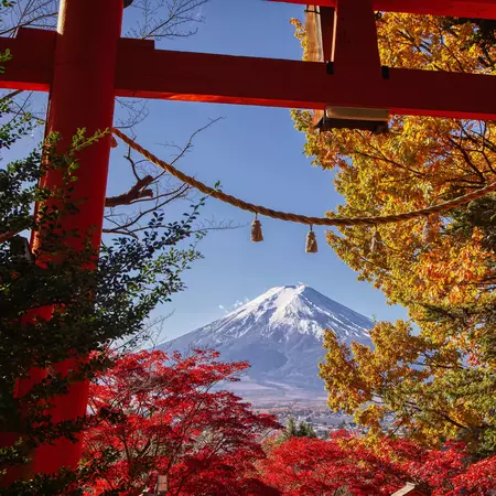 Admire the peaks of Mt Fuji