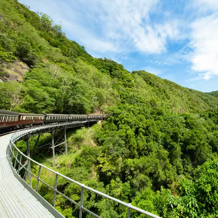 Explore the lush lands of Kuranda National Park