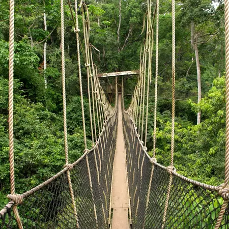 Explore Kakum National Park