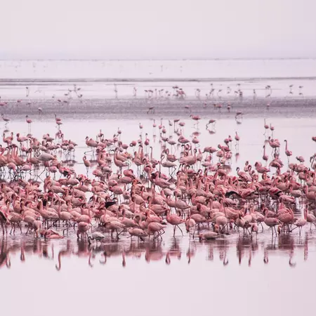 Lake Manyara