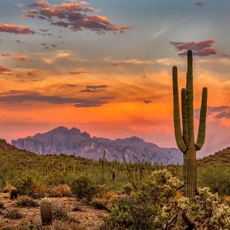 Enjoy the colours of a sunset in Phoenix