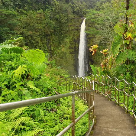 Akaka Falls State Park, Hawaii Big Island