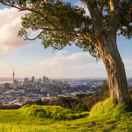 Auckland City Skyline