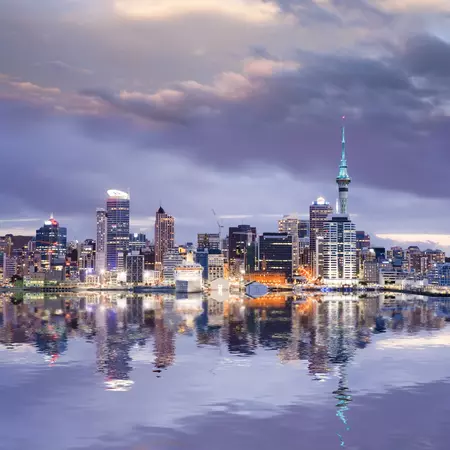 Auckland Skyline