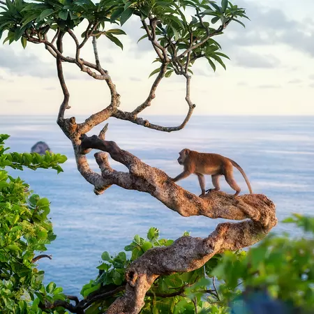 Bali, Indonesia