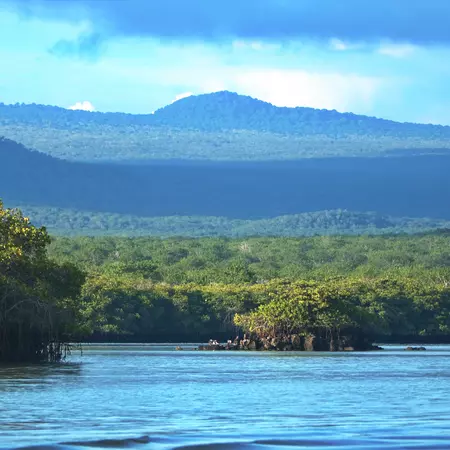 Baltra Island, Galapagos