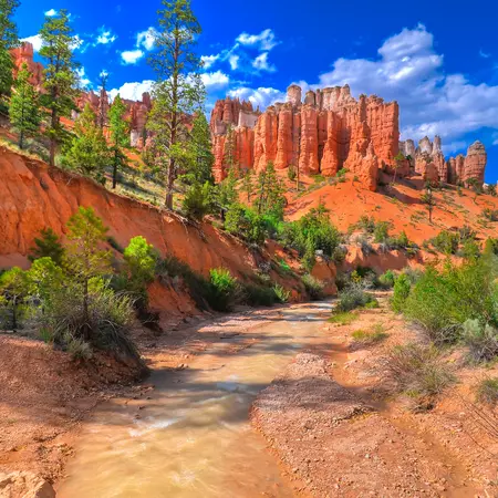 Bryce Canyon