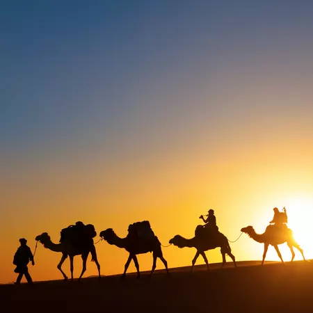 Camel Caravan