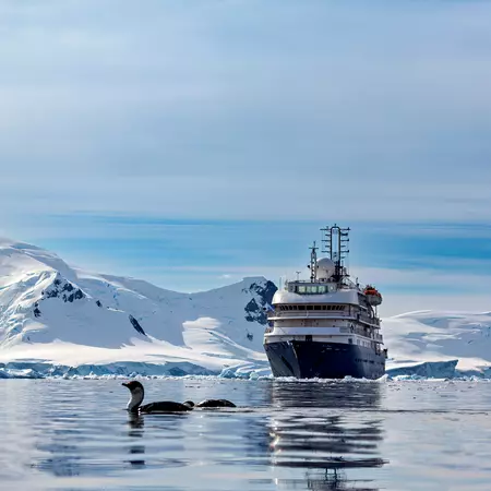 Antarctic Waters