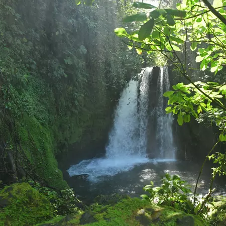 Danta Waterfall