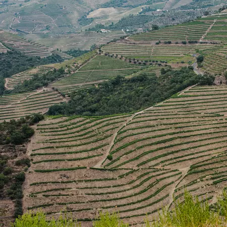 Douro Valley