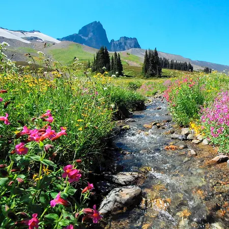 Garibaldi park