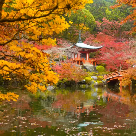 Kyoto